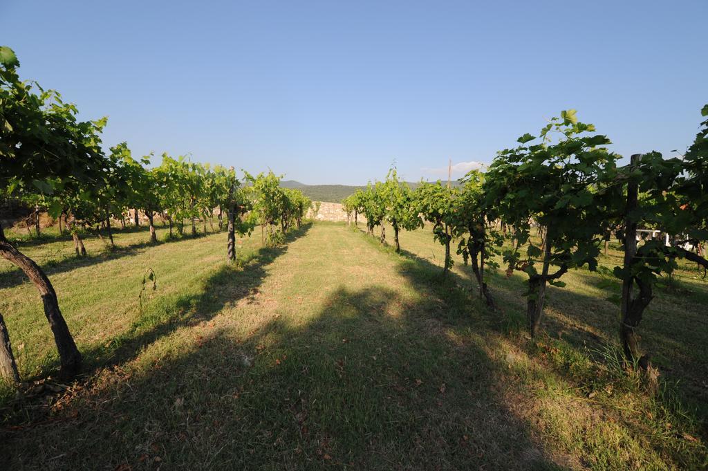 Agriturismo Scorgiano Kültér fotó
